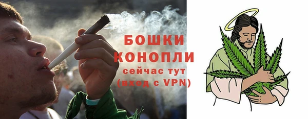 тгк Богородицк