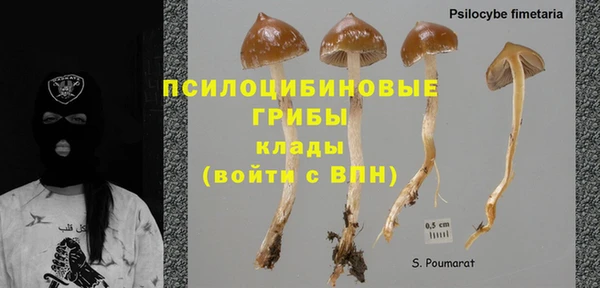 тгк Богородицк