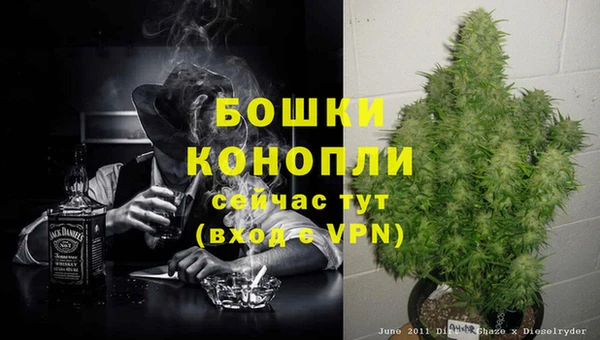 тгк Богородицк