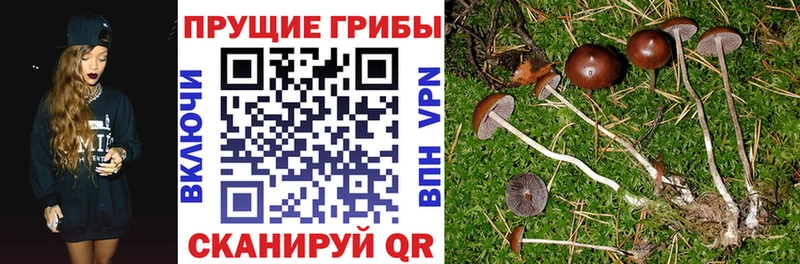 Галлюциногенные грибы GOLDEN TEACHER  гидра маркетплейс  Козловка  купить наркотики сайты 